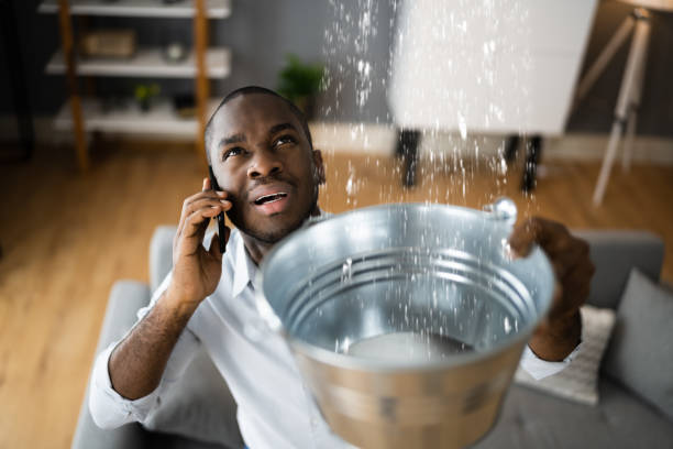 Best Mold removal after water damage  in Riverbank, CA