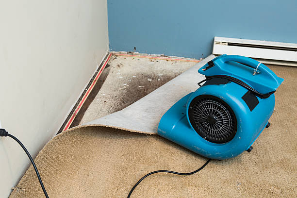 Best Water damage restoration near me  in Riverbank, CA